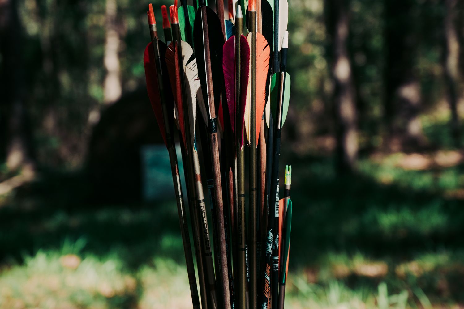 Best Hunting Arrows & Components for 2026: Spine, GPI, Inserts & Nocks (A Lease Hunter's Buyer's Guide)