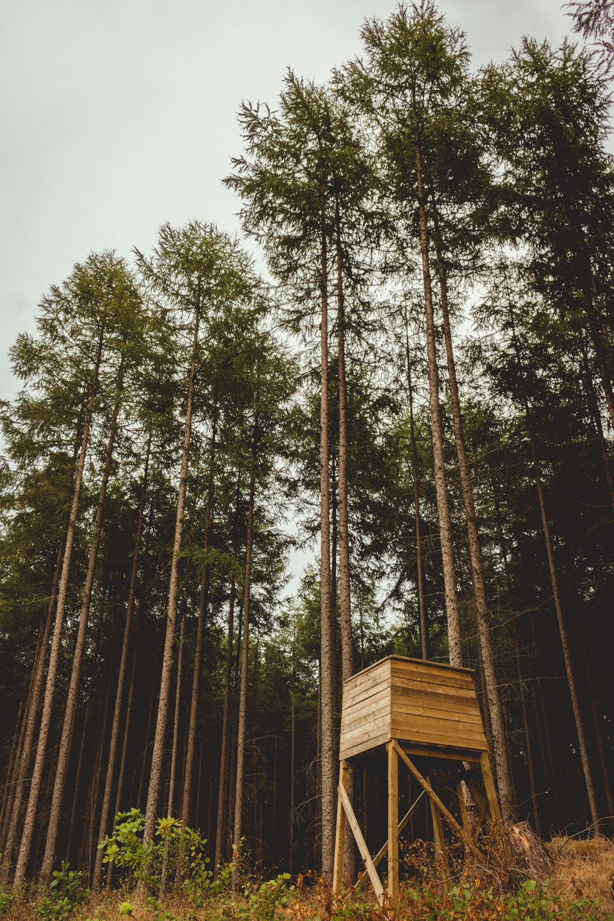 Hunting Blinds: Pop-Up vs. Box vs. Tower — Which One Is Right for Your Lease? (2026 Guide)