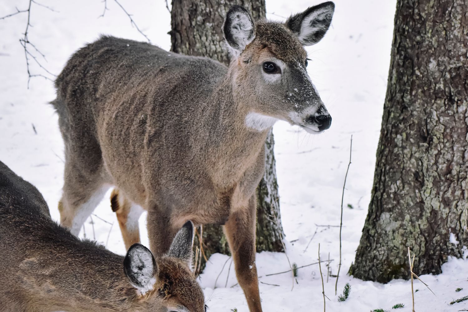 Hunting Lease Terms, Explained: A Plain-English Glossary for Landowners and Hunters (2026)