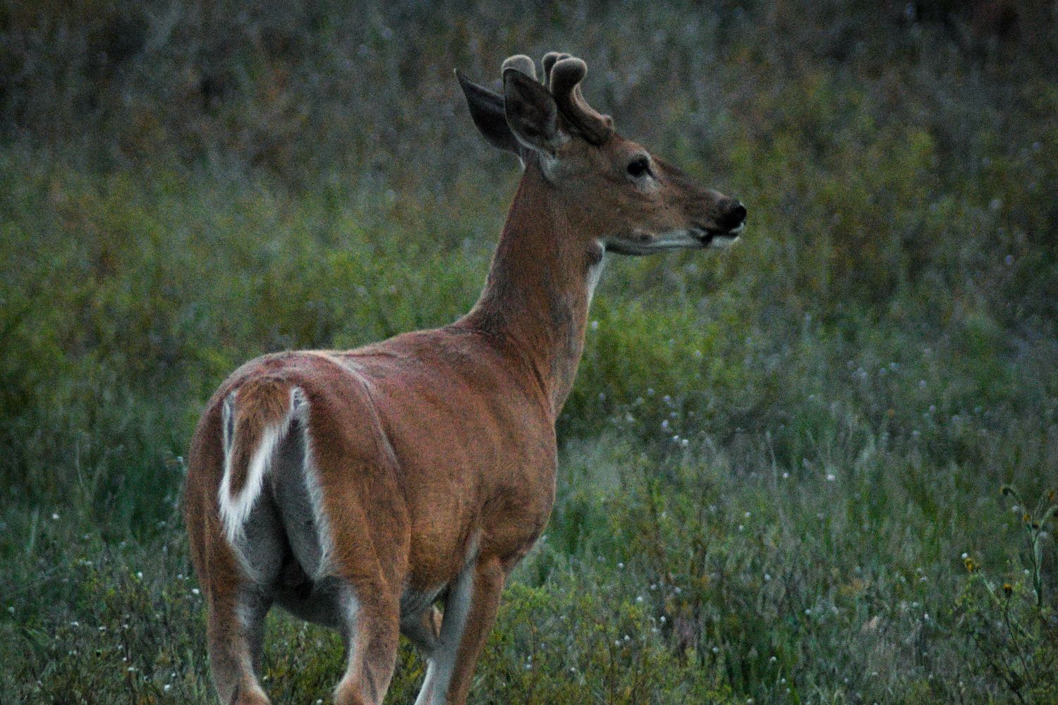 What's Actually in a Hunting Lease Price? Fees, Deposits & Hidden Costs, Broken Down (2026)