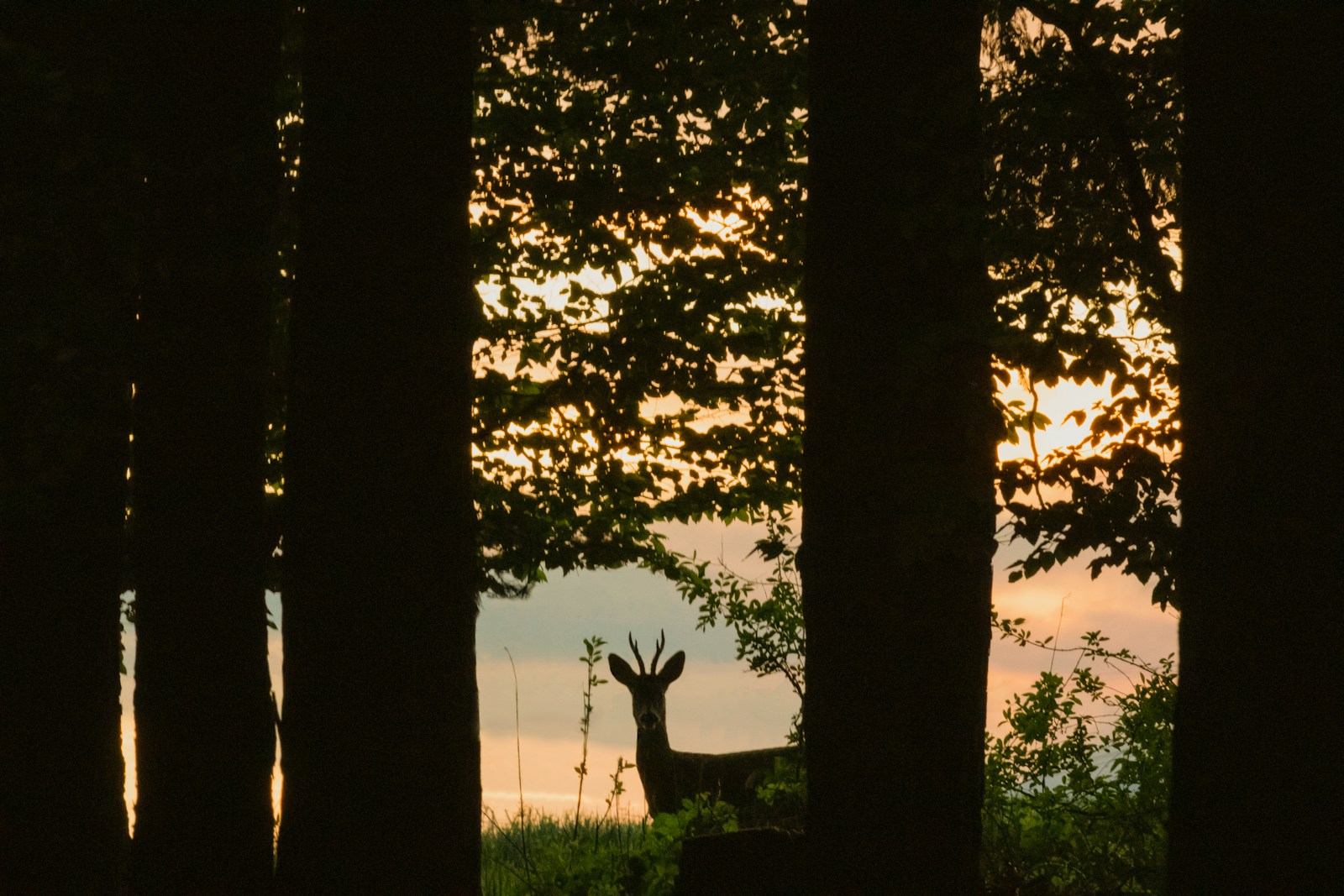 From Public Land to Private Lease: What Actually Changes When You Make the Switch
