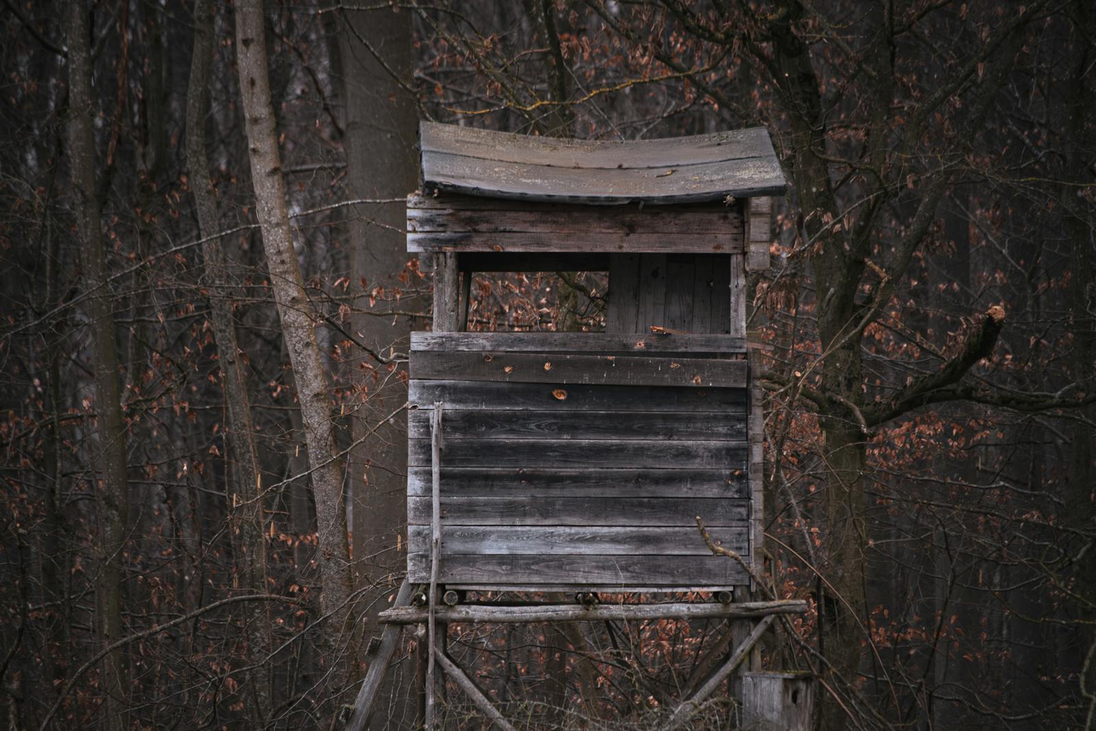Wooden treestand in an autumn forest — Treestands vs. Saddle Hunting 2026 Setup Guide