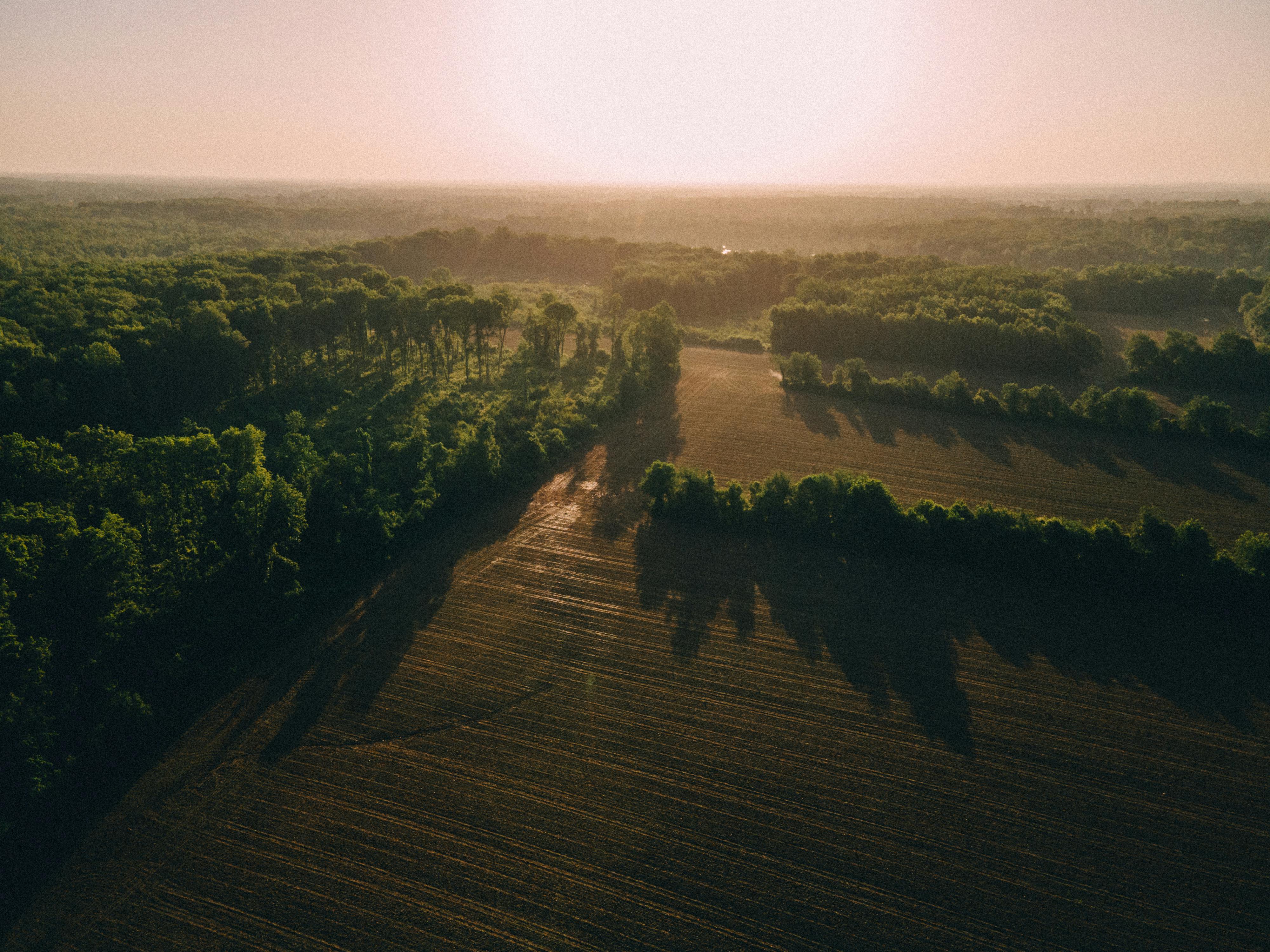 Farm land with forest