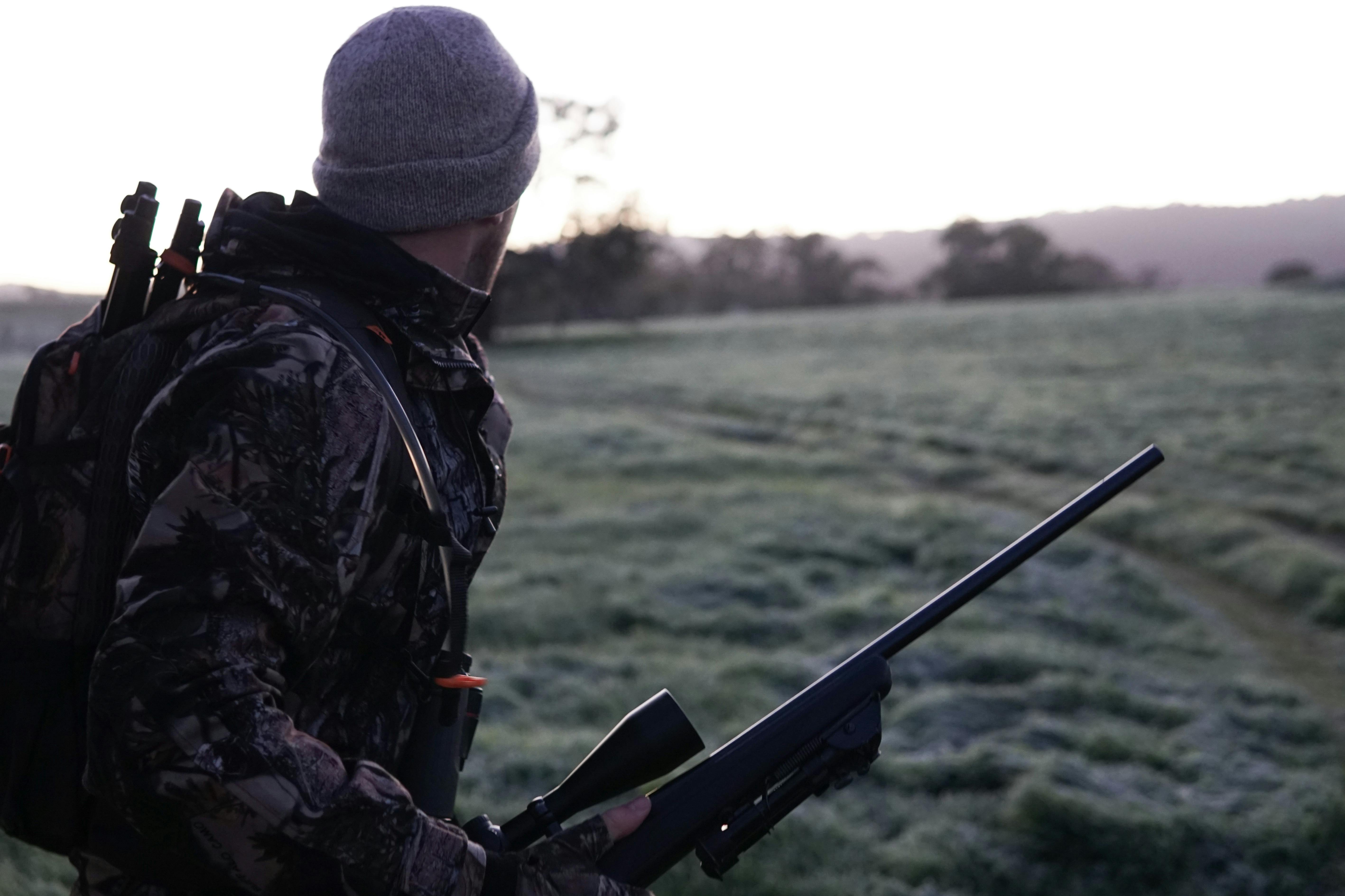 Early morning hunter