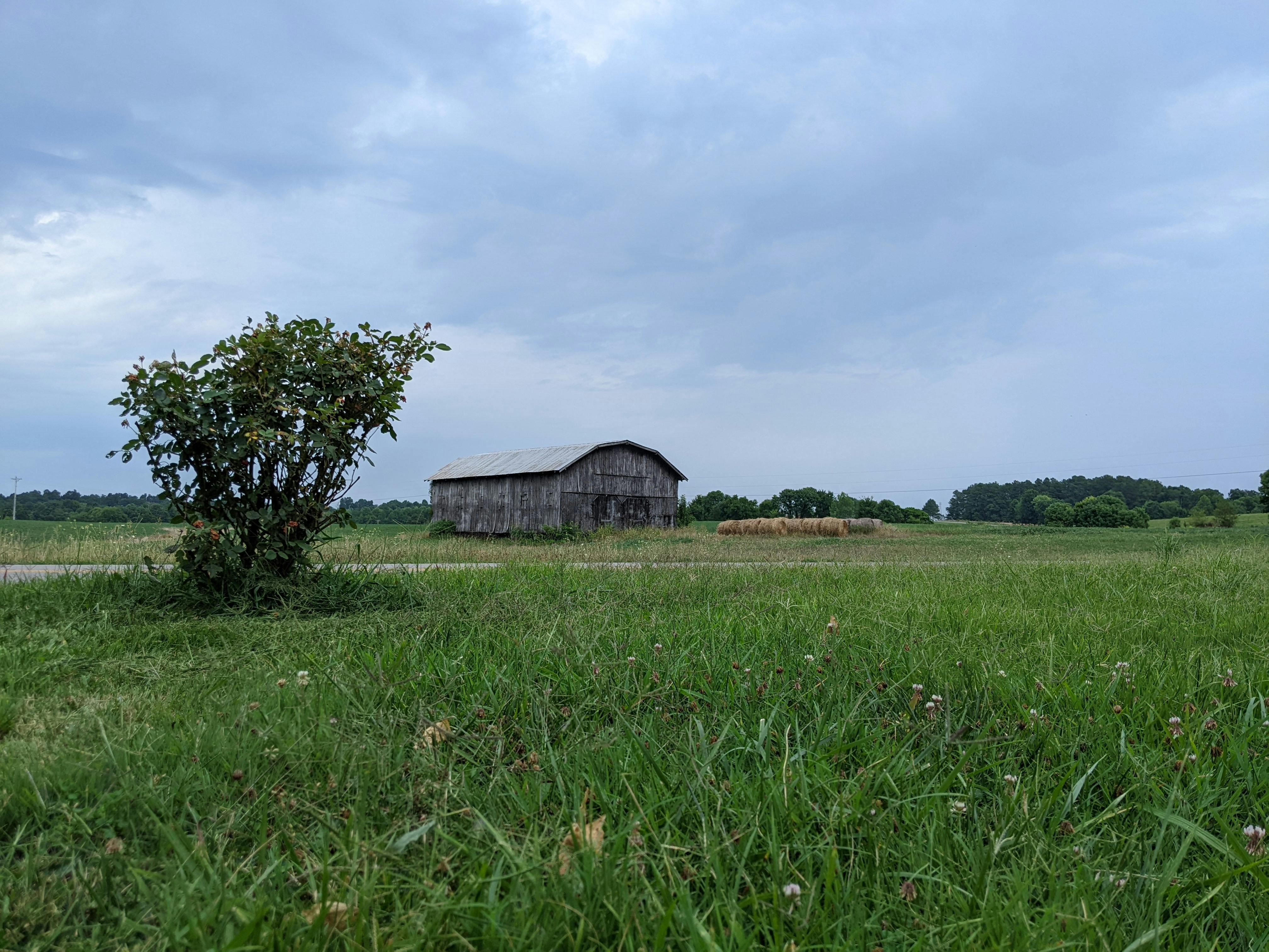Kentucky Hunting Leases: The Complete Guide for Landowners and Hunters 2026