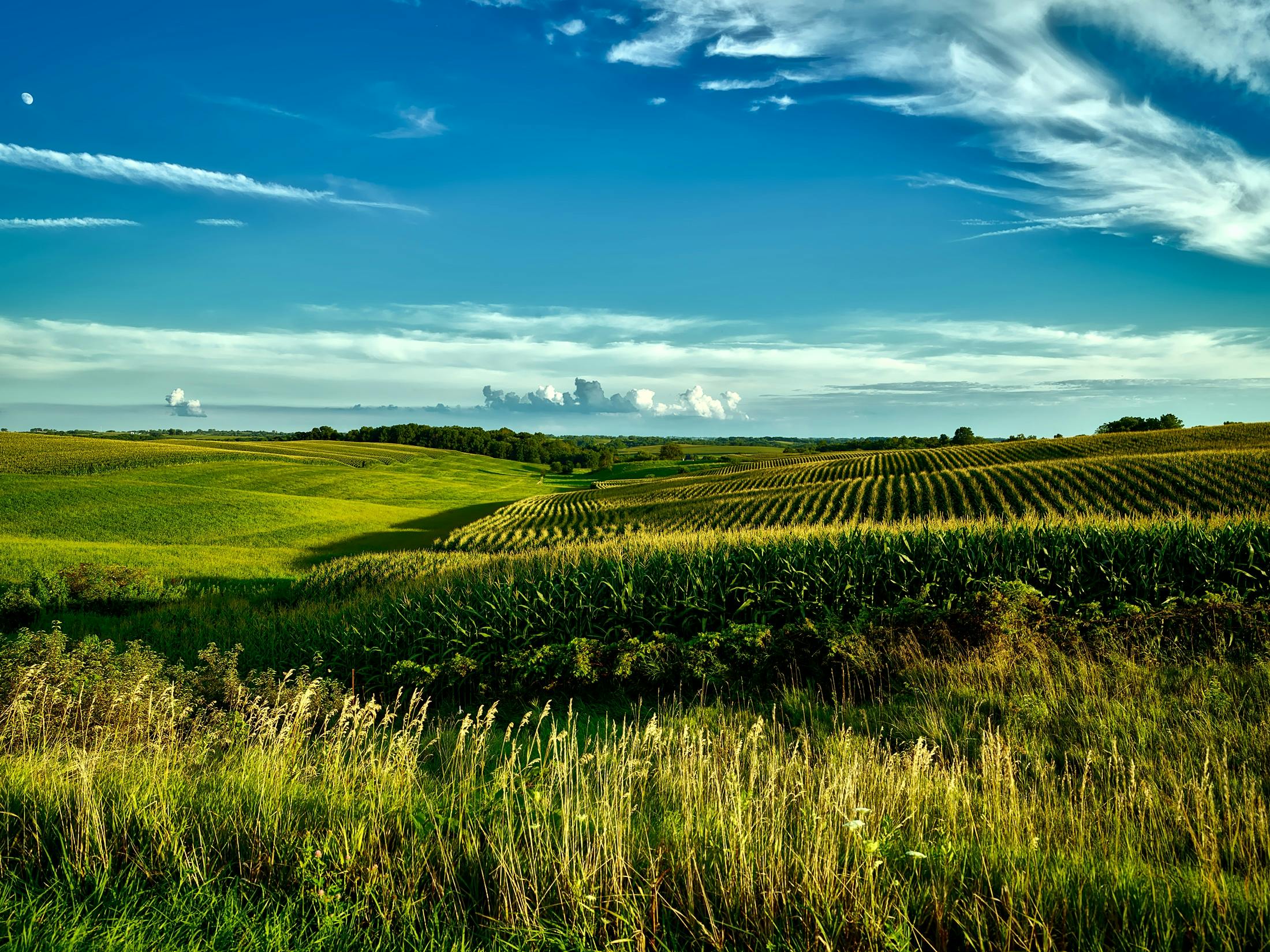 Rolling hills farm landscape