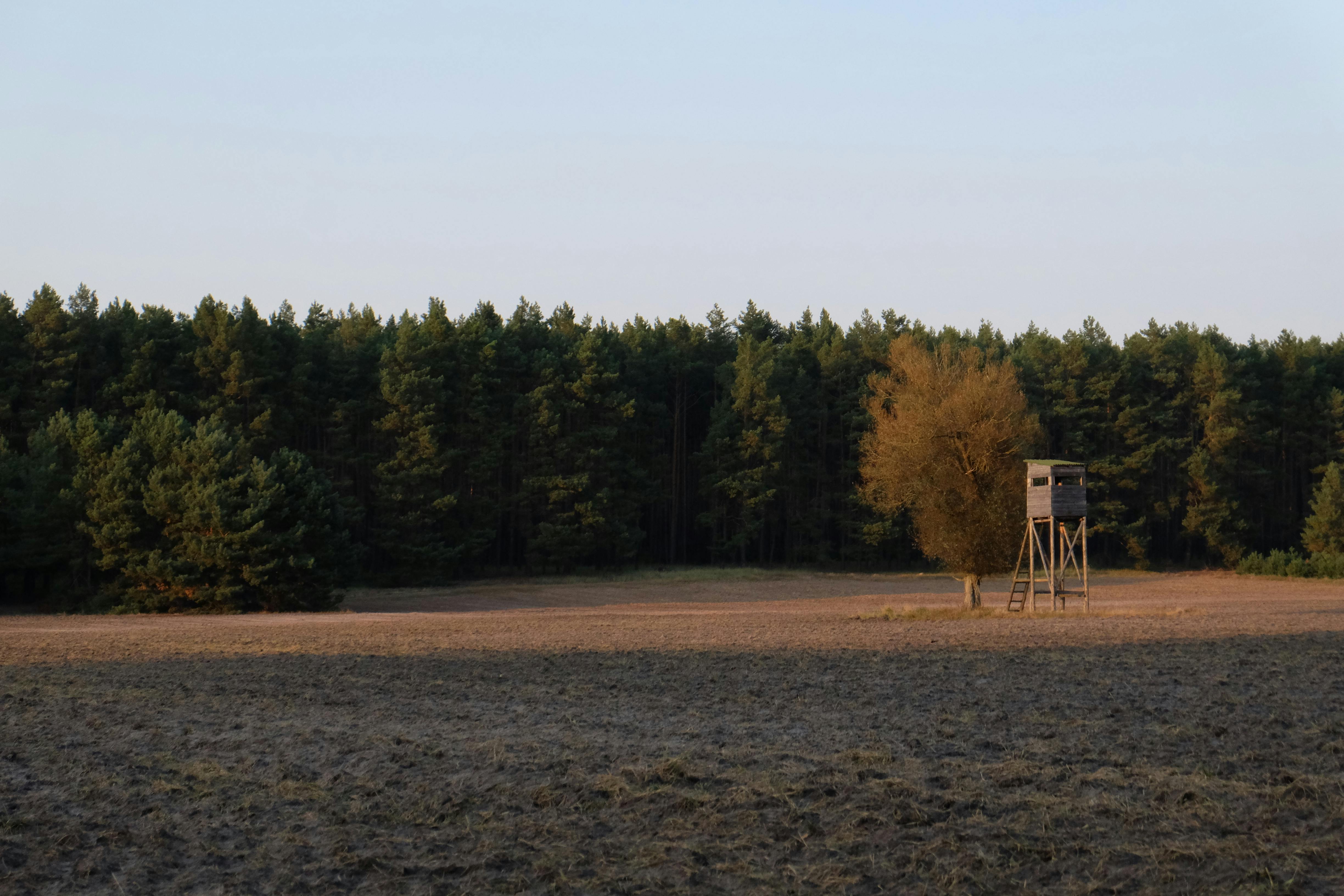 Am I Liable if a Hunter Gets Hurt on My Land? | Landowner Protection Guide