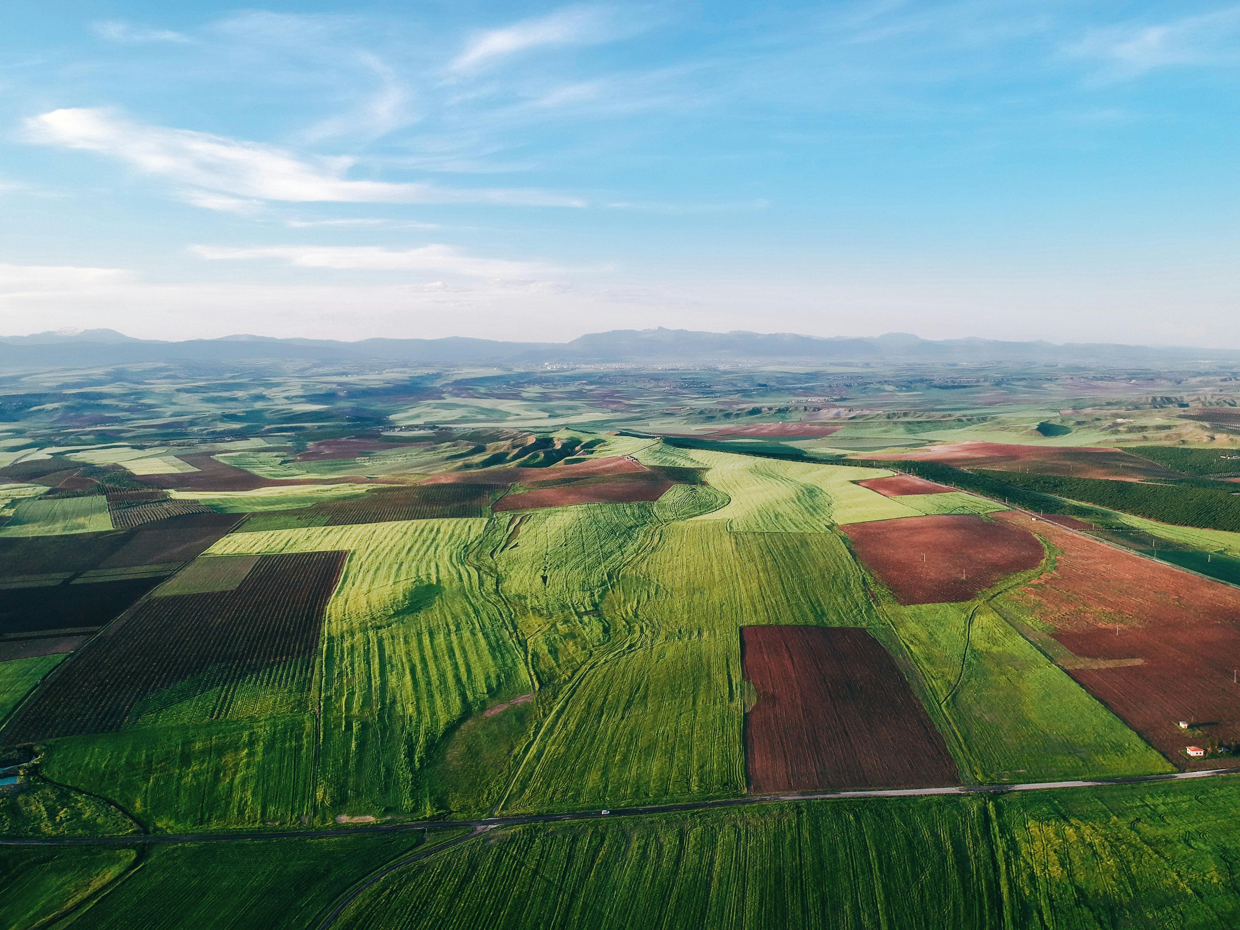 Per Hunter vs. Per Acre: Which Hunting Lease Pricing Model Earns Landowners More?