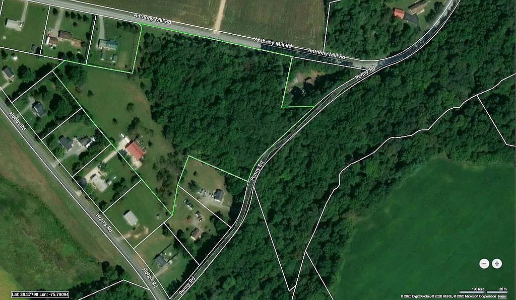Secluded 6.86-Acre Forested Lease in Caroline County