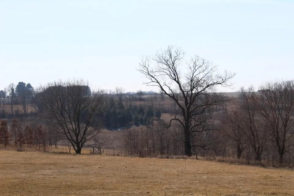 55 Acres in Driftless Wisconsin - 55 acre hunting lease in Iowa, Wisconsin