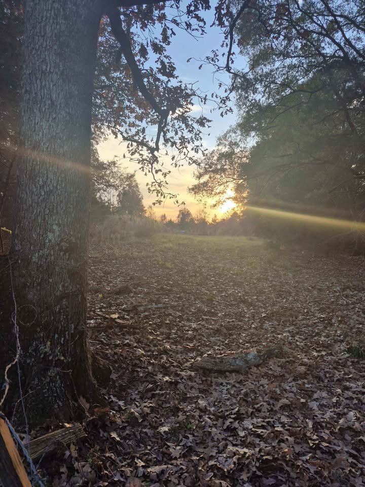 60 Acre Hunting Paradise Lancaster South Carolina