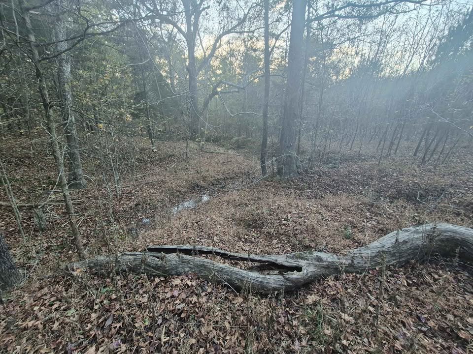 60 Acre Hunting Paradise Lancaster South Carolina