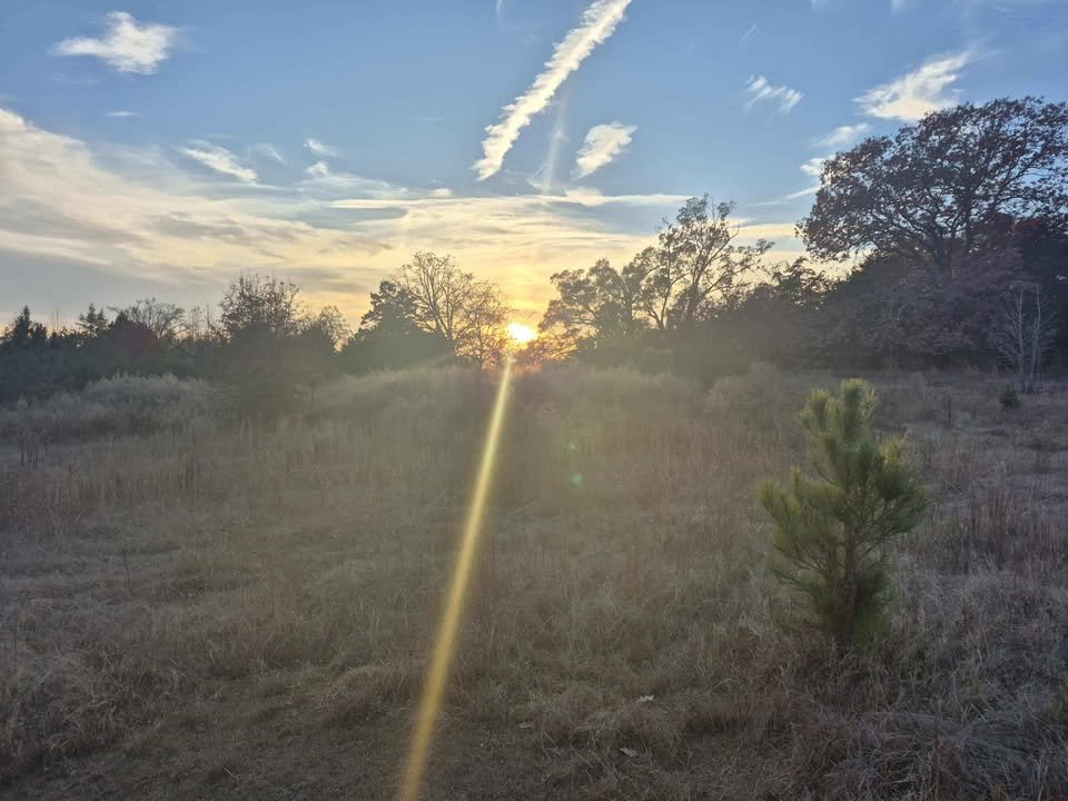 60 Acre Hunting Paradise Lancaster South Carolina