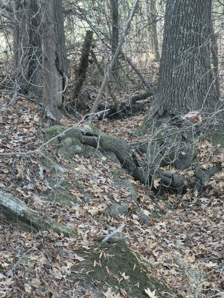 60 Acre Hunting Paradise Lancaster South Carolina