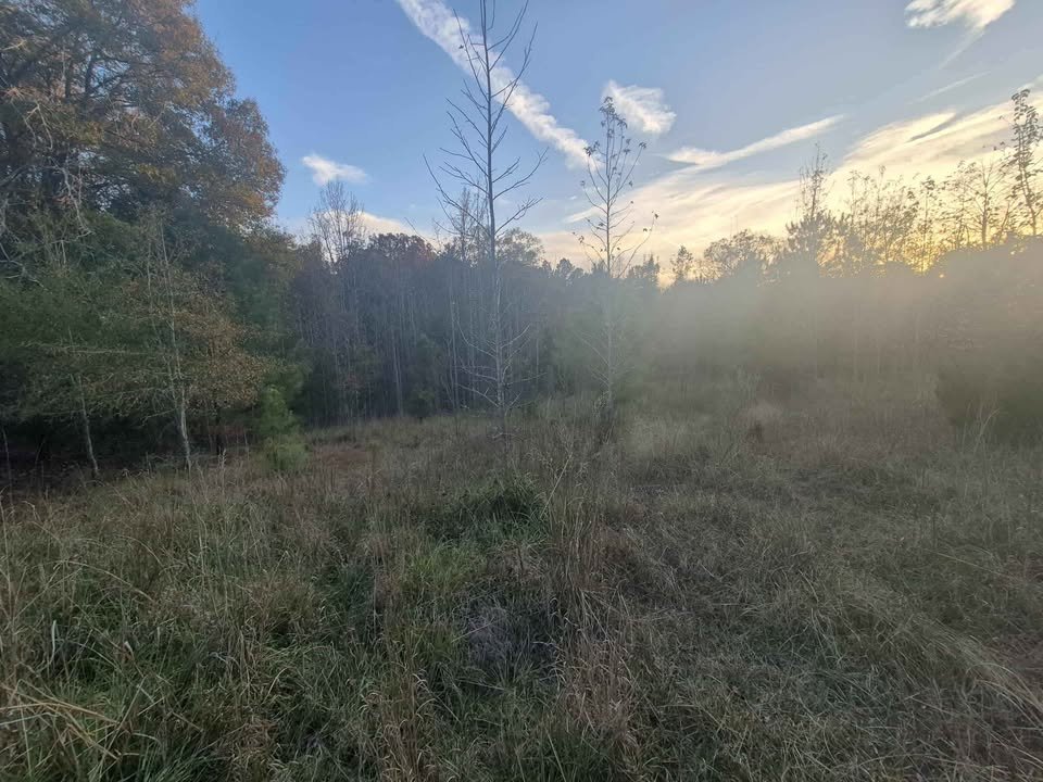 60 Acre Hunting Paradise Lancaster South Carolina