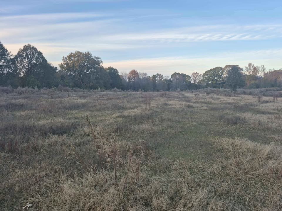 60 Acre Hunting Paradise Lancaster South Carolina
