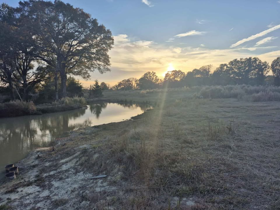 60 Acre Hunting Paradise Lancaster South Carolina