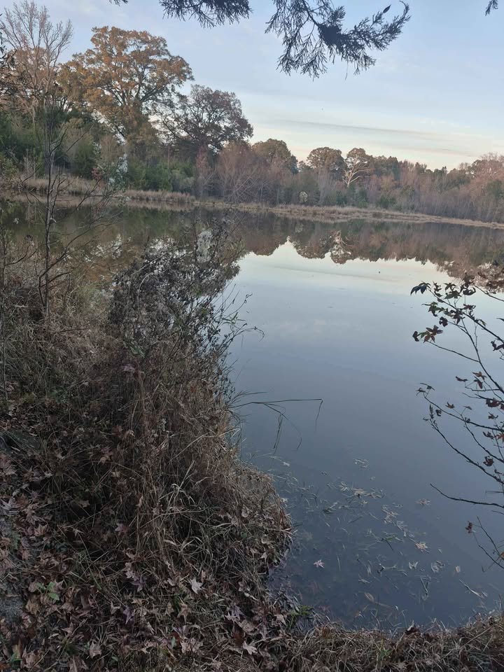 60 Acre Hunting Paradise Lancaster South Carolina