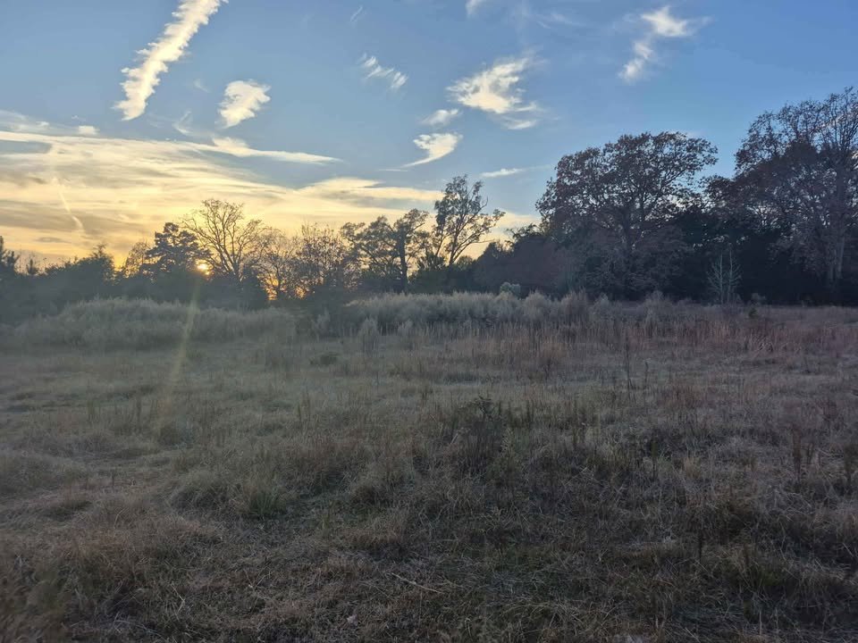 60 Acre Hunting Paradise Lancaster South Carolina