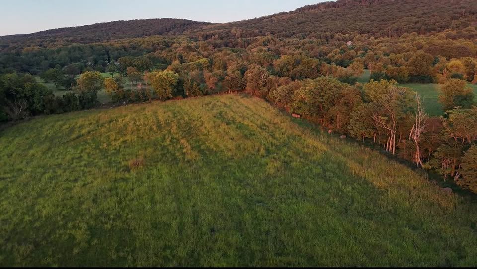 The Washington County 101-Acre Paradise