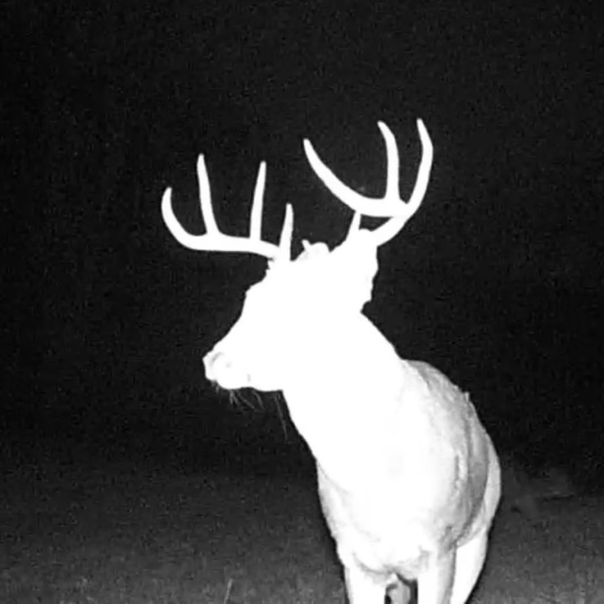 Beautiful 354 acre Prime hunting property in Greene County PA with hills, valleys, streams, woods, small fields, food plots