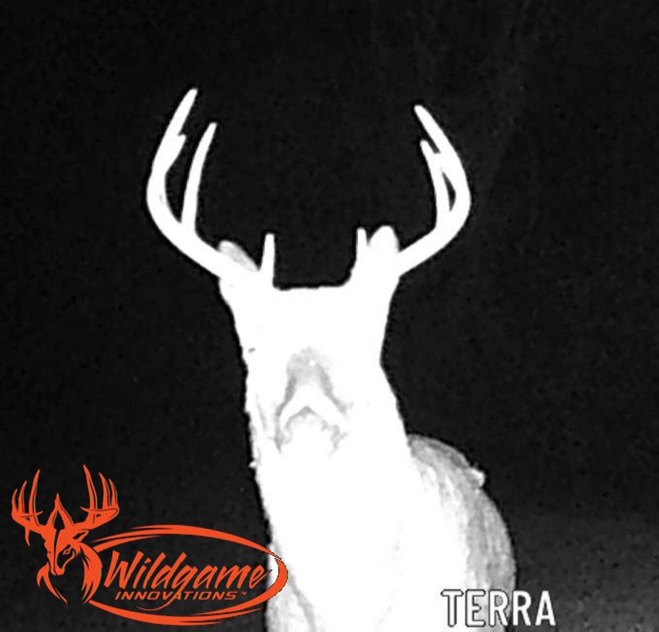 Beautiful 354 acre Prime hunting property in Greene County PA with hills, valleys, streams, woods, small fields, food plots