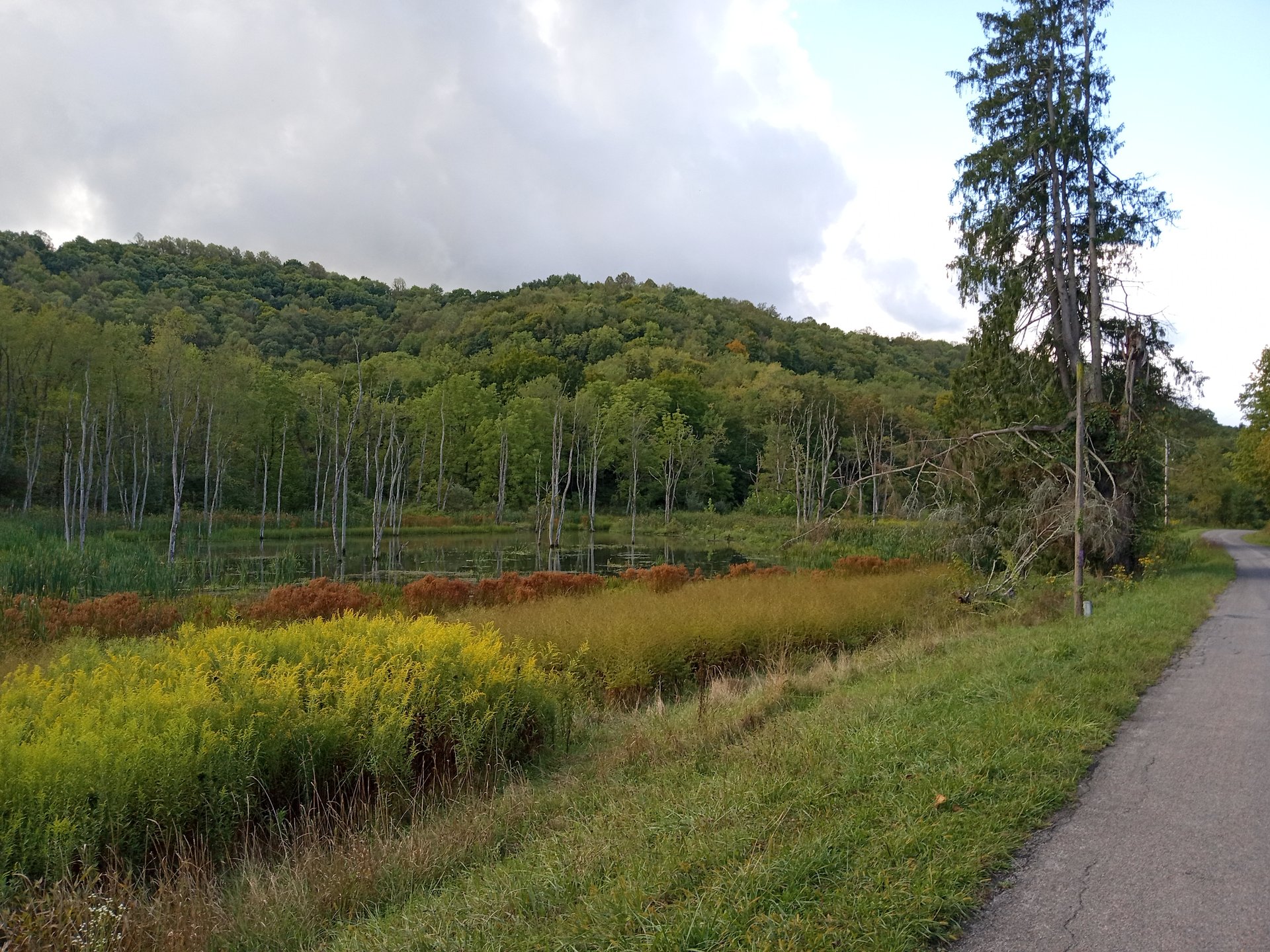 Beautiful 354 acre Prime hunting property in Greene County PA with hills, valleys, streams, woods, small fields, food plots
