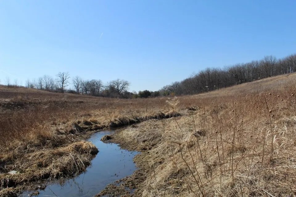 55 Acres in Driftless Wisconsin - 55 acre hunting lease in Iowa, Wisconsin