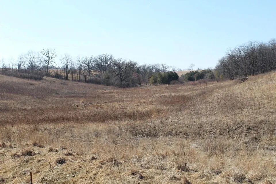 55 Acres in Driftless Wisconsin - 55 acre hunting lease in Iowa, Wisconsin