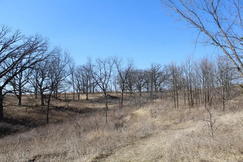 55 Acres in Driftless Wisconsin - 55 acre hunting lease in Iowa, Wisconsin